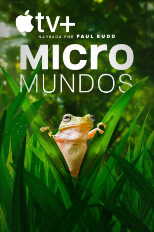 Micromundos