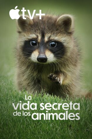 La vida secreta de los animales