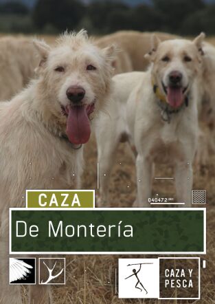 De montería. T(T2). De montería (T2): Ep.12