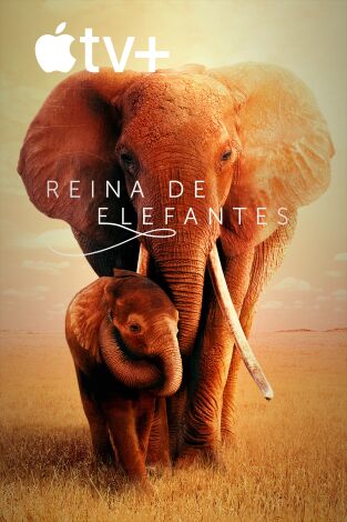 Reina de elefantes