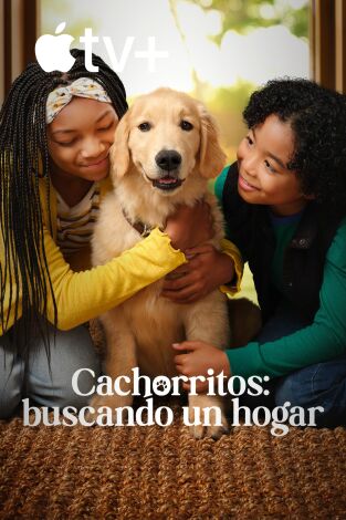Cachorritos: buscando un hogar. T(T1). Cachorritos: buscando un hogar (T1)