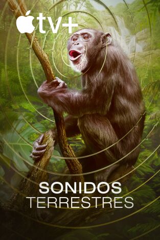 Sonidos terrestres