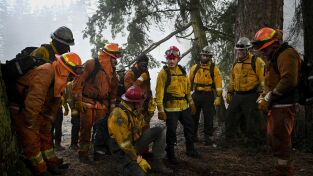 Fire Country. T(T1). Fire Country (T1): Ep.16 Mi tipo de líder