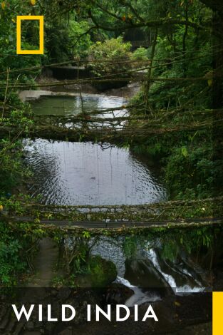 Wild India. Wild India 