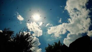Desastre climático. Desastre climático: Rayos