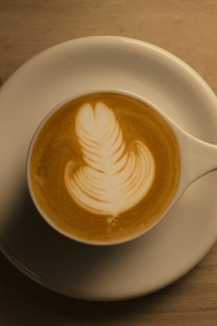 Ingredientes para la vida. Ingredientes para la vida: Café