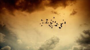 Desastre climático. Desastre climático: Aire