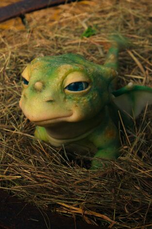 Nuestra pequeña granja. T(T2). Nuestra pequeña... (T2): Los dragoncitos