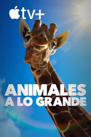 Animales a lo grande