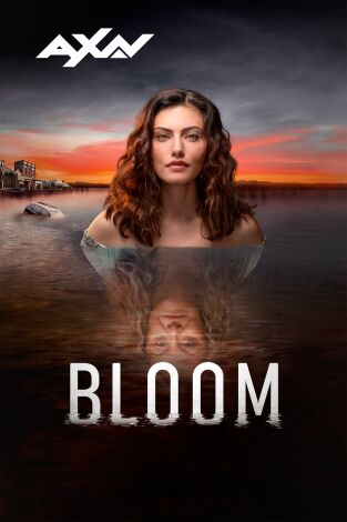 Bloom. T(T1). Bloom (T1)