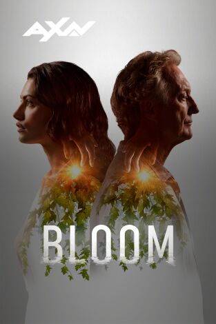 Bloom