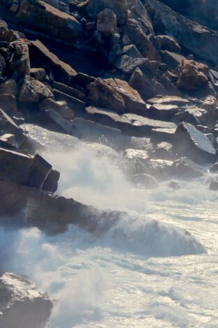 Río Salvaje con Kike Calleja. T(T6). Río Salvaje con... (T6): Pesqueras de Xábia