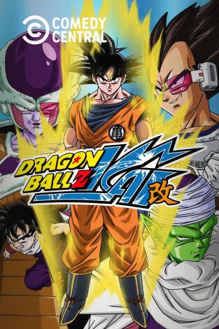 Dragon Ball Z Kai. T(T1). Dragon Ball Z Kai (T1)