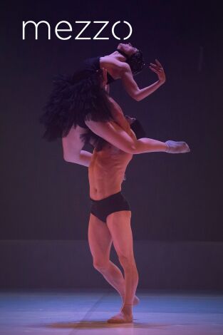 El Lago - La Mov - Festival Le Temps d'aimer la danse Biarritz