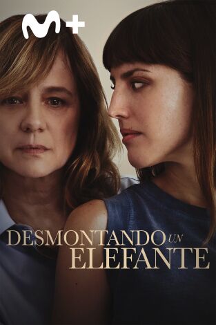 Desmontando un elefante