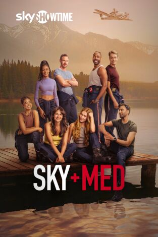 SkyMed