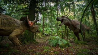 Extras de Caminando entre dinosaurios. Extras de Caminando...: Últimos días
