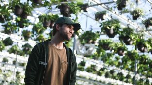 Tracker. T(T2). Tracker (T2): Ep.18 Colisión