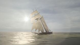 Explorando Las Profundidades. Explorando Las...: El Álamo