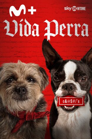 Vida perra