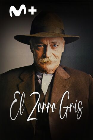 El zorro gris