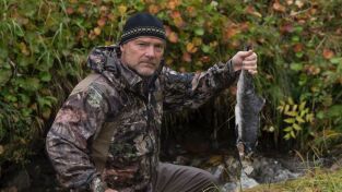 Alaska. Alaska: El matadero de salmones