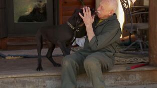 Doctor Pol. T(T1). Doctor Pol (T1): Vivir al día