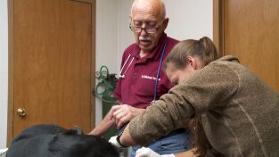 Doctor Pol. Doctor Pol: Una montaña de casos gatunos