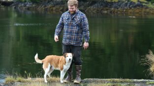Vivir bajo cero: Port Protection Alaska. Vivir bajo cero: Port...: El espectáculo canino