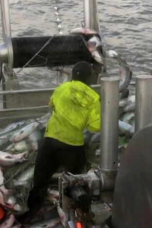 Alaska, batalla en el mar. Alaska, batalla en el mar: A cobrar