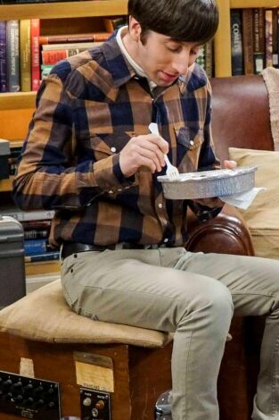 The Big Bang Theory. T(T10). The Big Bang Theory (T10): Ep.9 La elevación de la geología