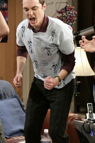 The Big Bang Theory. T(T1). The Big Bang Theory (T1): Ep.9 La polarización Cooperhofstadter