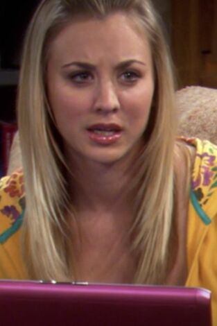 The Big Bang Theory. T(T2). The Big Bang Theory (T2): Ep.13 El algoritmo de la amistad