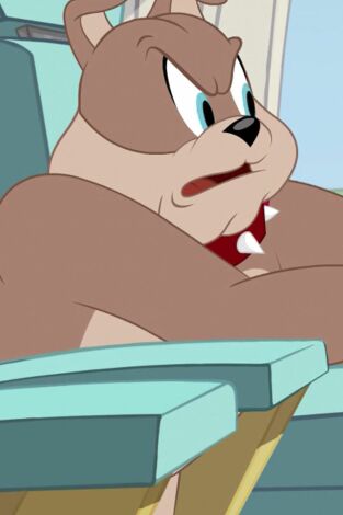 El Show de Tom y Jerry. T(T2). El Show de Tom y... (T2): Foto matón