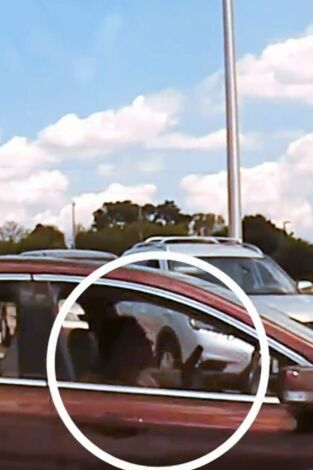 Body Cam. Body Cam: Por los pelos