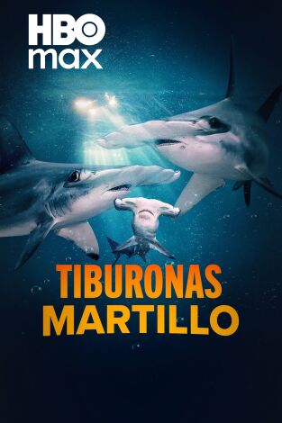 Tiburonas martillo