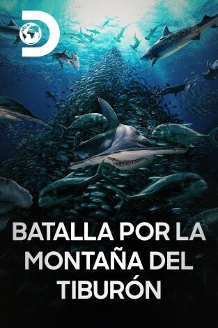 Batalla por la montaña del tiburón