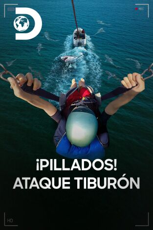 ¡Pillados! Ataque tiburón