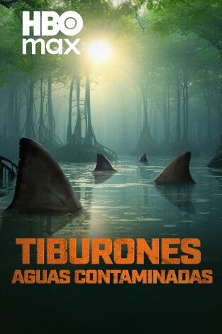 Tiburones: aguas contaminadas