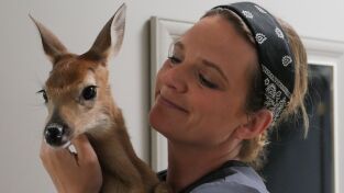 Veterinarios de Nebraska. T(T4). Veterinarios de... (T4): Una vida maraciervosa