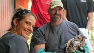 Veterinarios de Nebraska. T(T4). Veterinarios de... (T4): El Señor de las alas