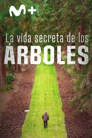 La vida secreta de los árboles. La vida secreta de los árboles 