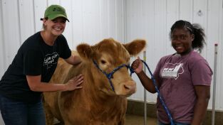 Veterinarios de Nebraska. T(T4). Veterinarios de... (T4): ¡Luces, cámara, subasta!