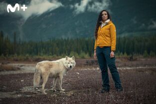 Human: la historia del ser humano. Human: la historia del...: América como refugio en la Edad de Hielo