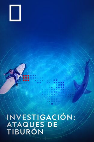 Investigación: ataques de tiburón