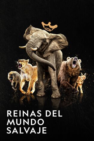 Reinas del mundo salvaje
