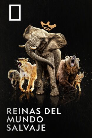 Reinas del mundo salvaje