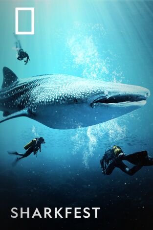 Sharkfest