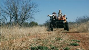 Cazar para conservar. Cazar para conservar: Conservar la codorniz en Texas