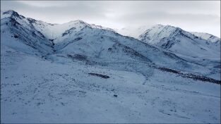 Cazar para conservar. Cazar para conservar: Los grandes carneros de Nevada